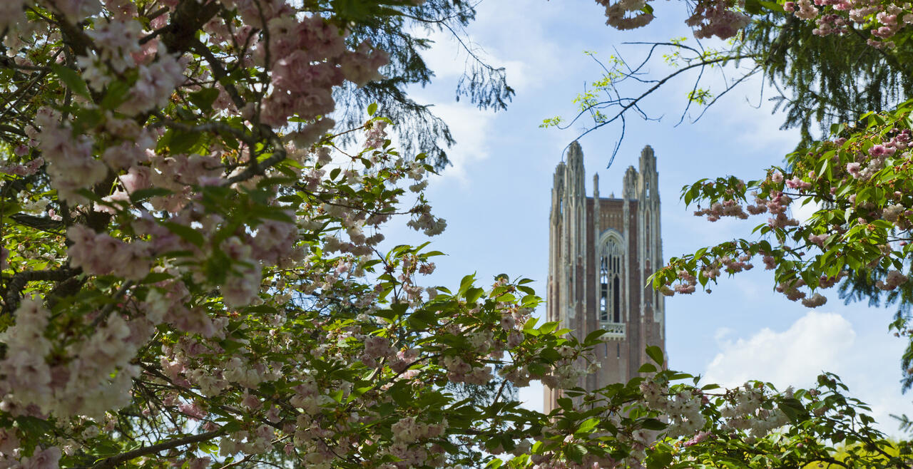 Wellesley Flowers